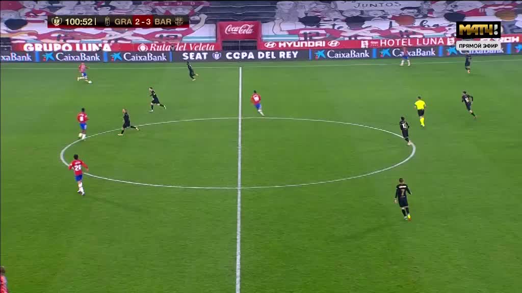 篮球火箭助教临场指挥表现亮眼