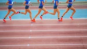 金沙中国巴黎人酒店2025年平均房租创历史新高